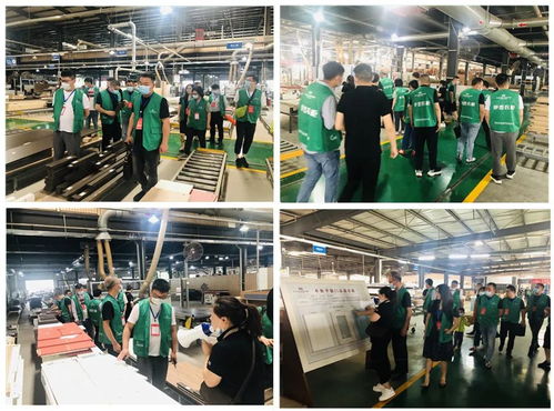 年中盛典，智造未來 619超級工廠購暨財富品鑒會圓滿落幕，揭秘購物商城定制新篇章